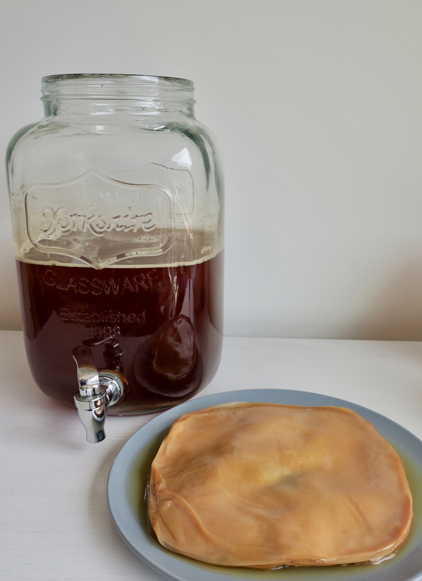 How To Make your own Kombucha