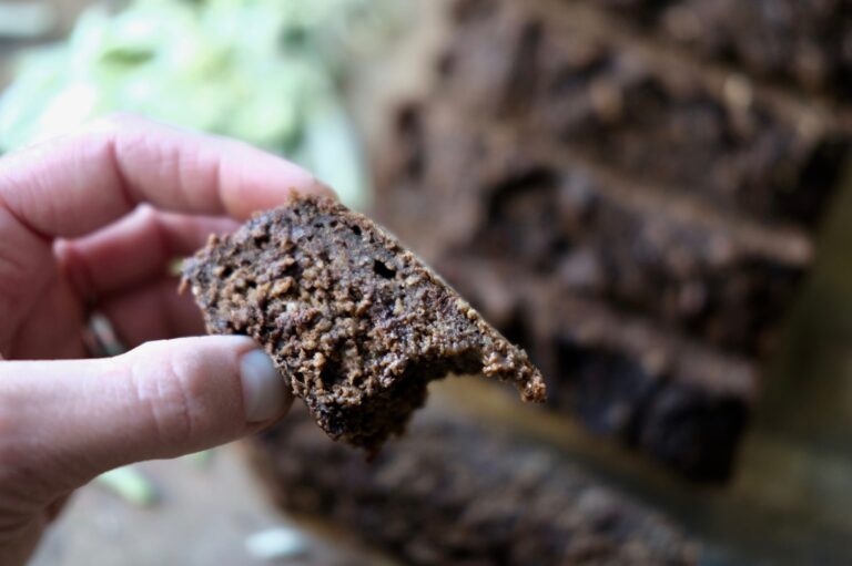 Chocolate Zucchini Banana Bread Vegan + GlutenFree