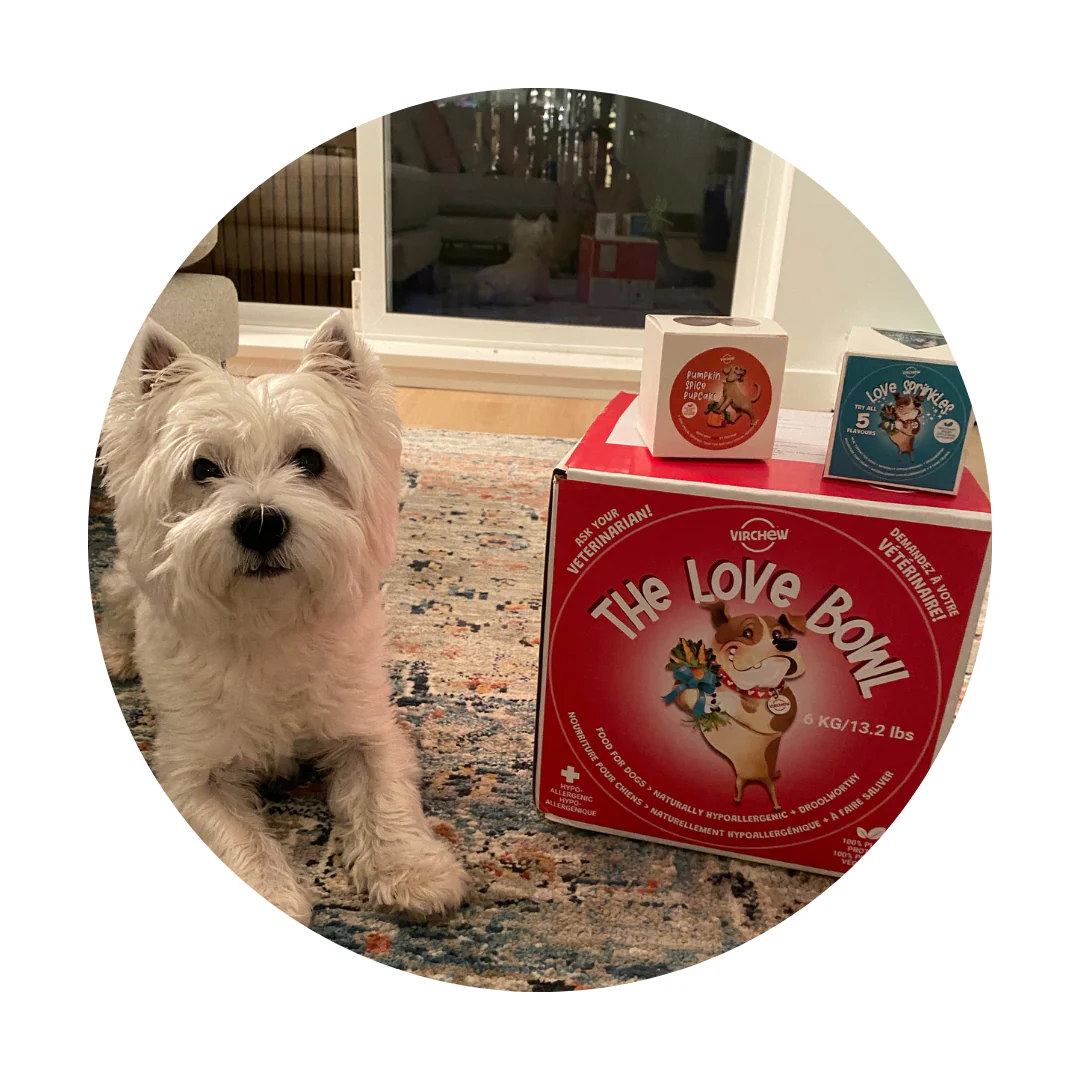 VIRCHEW STARTER KIT - Image 2