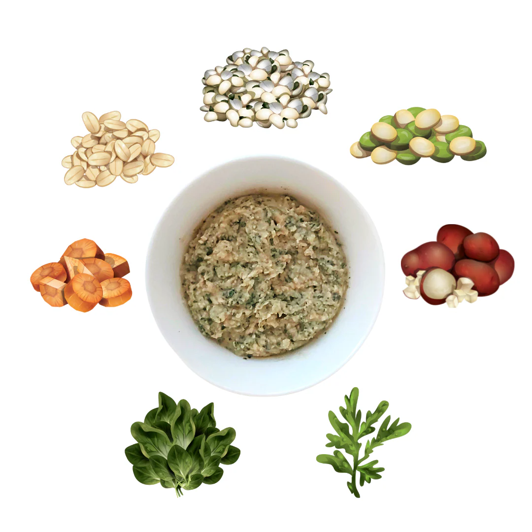 VIRCHEW STARTER KIT - Image 3