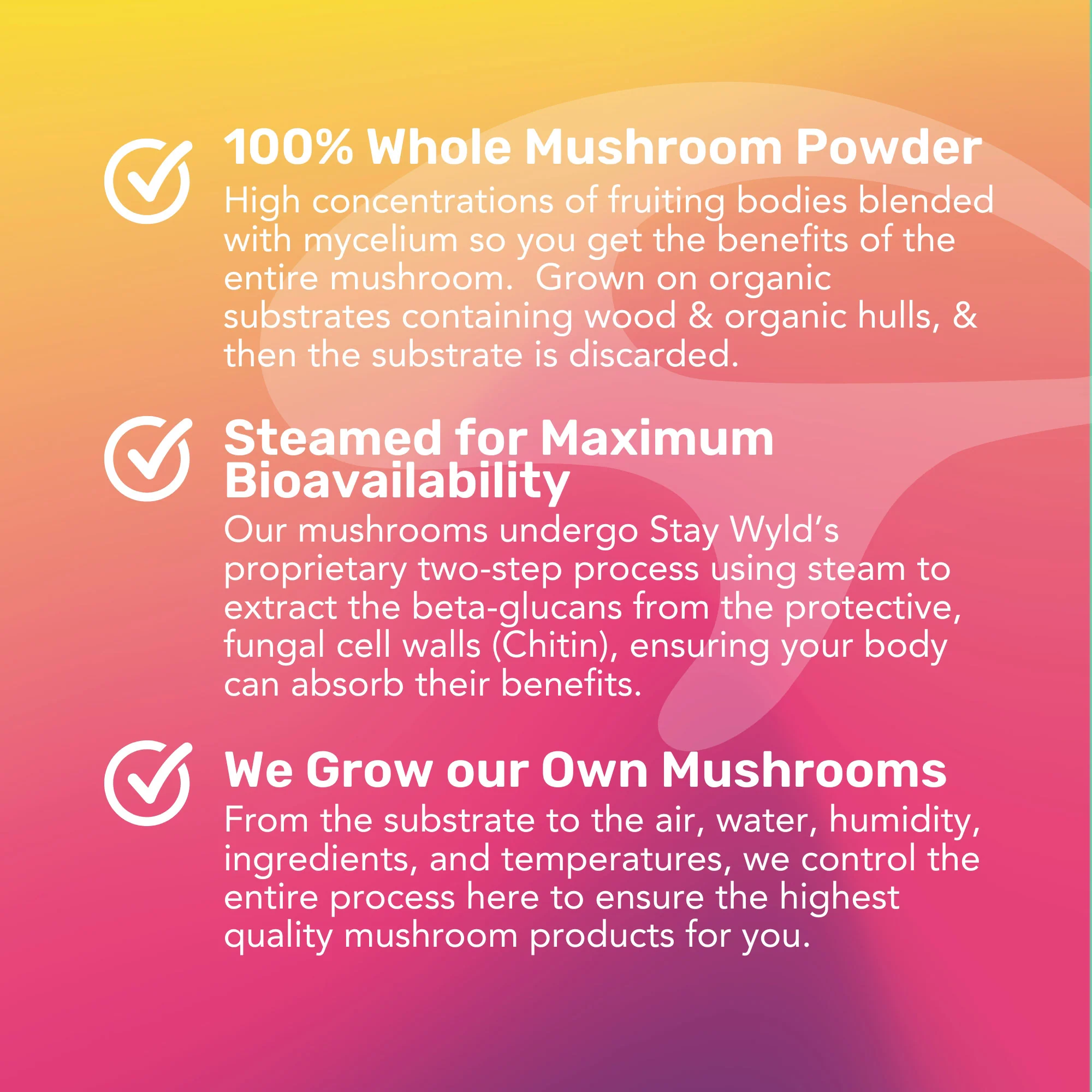 Energy & Performance Bundle - Image 9