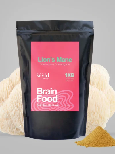 Lion's Mane Mushroom Powder Bulk (1kg)