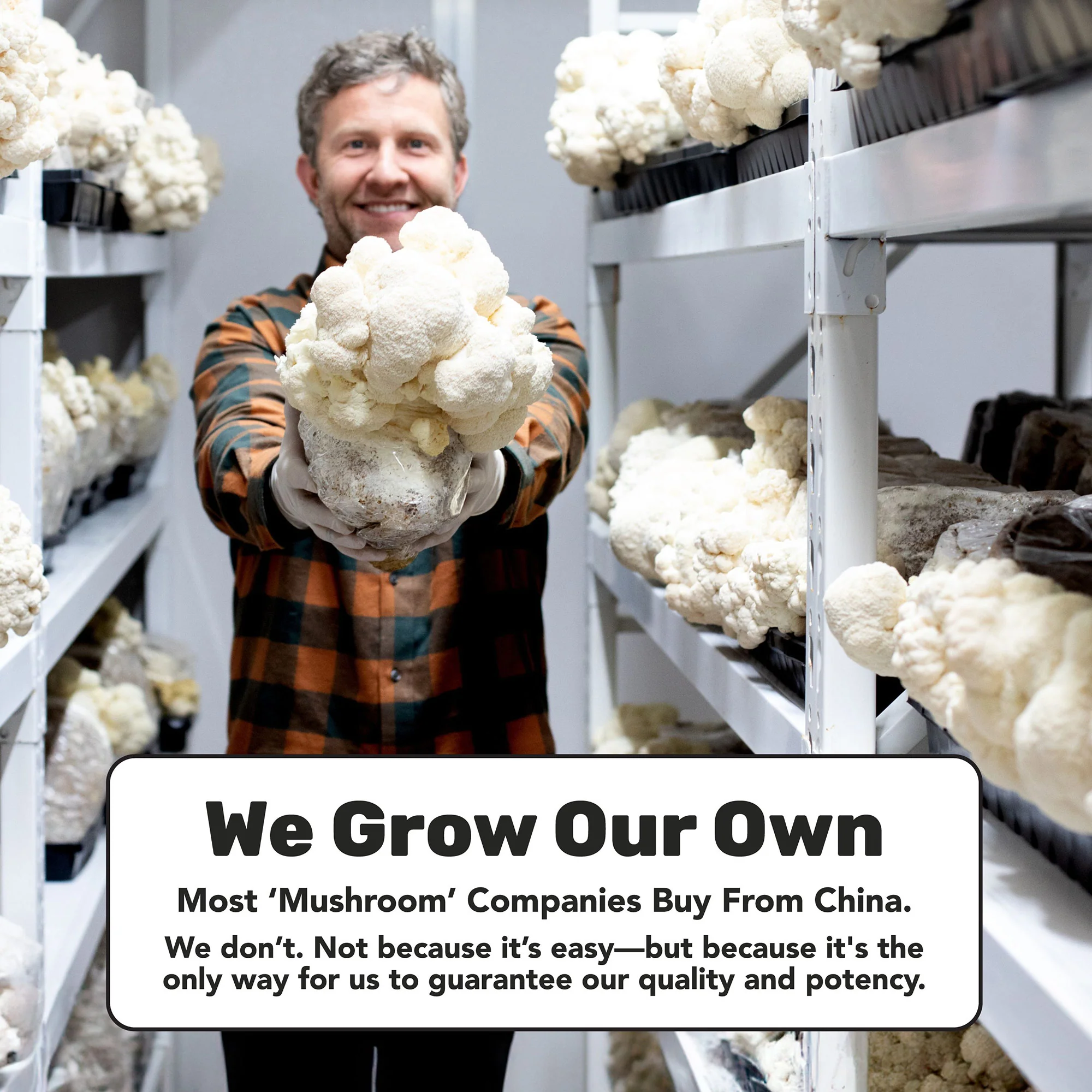 Daily Immunity 5-Blend Capsules - Image 7