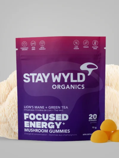 Focused Energy Gummies | 20 pack