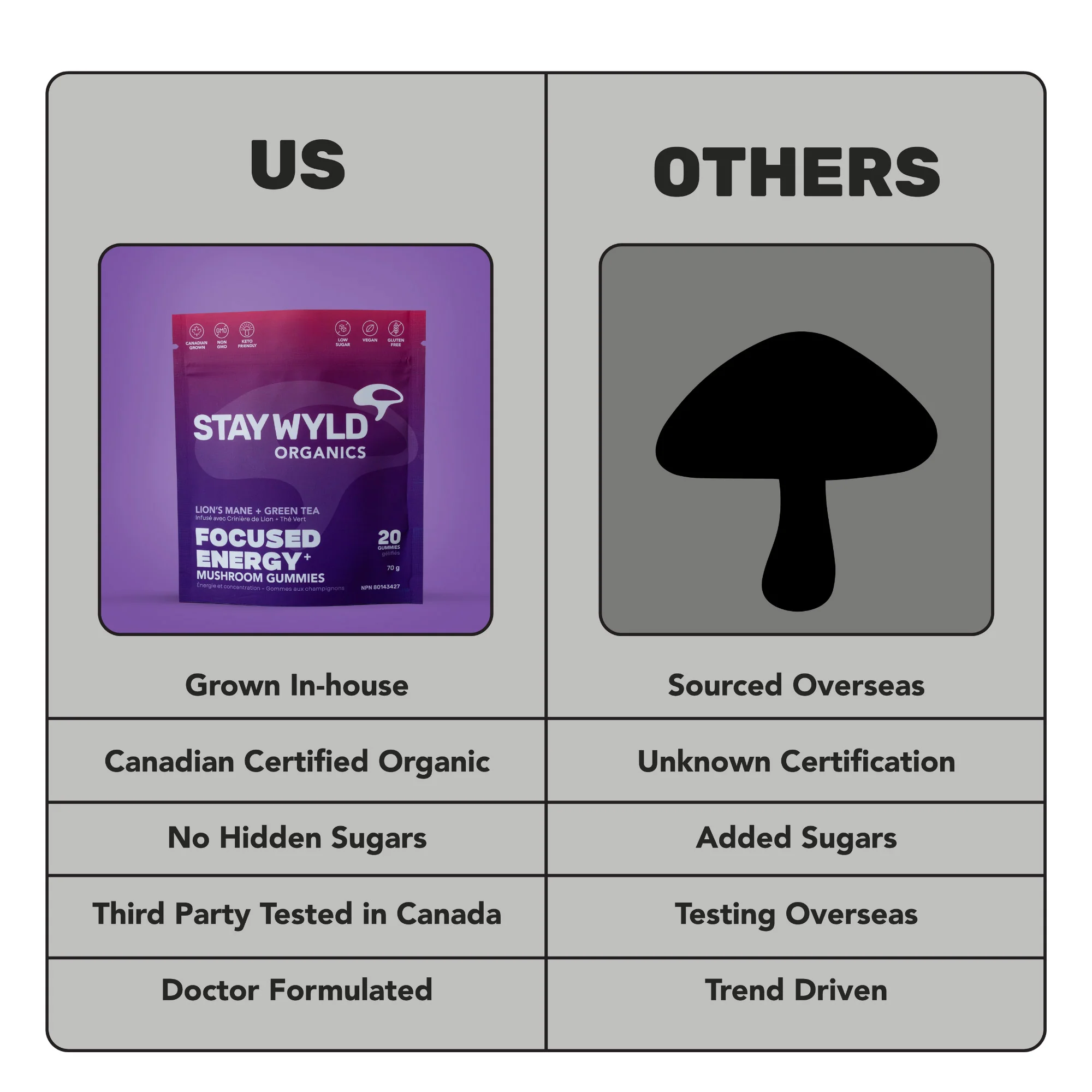 Focused Energy Gummies | 20 pack - Image 6