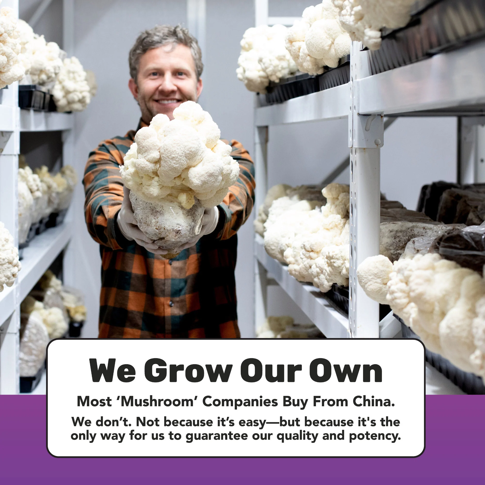 Focused Energy Gummies | 20 pack - Image 7