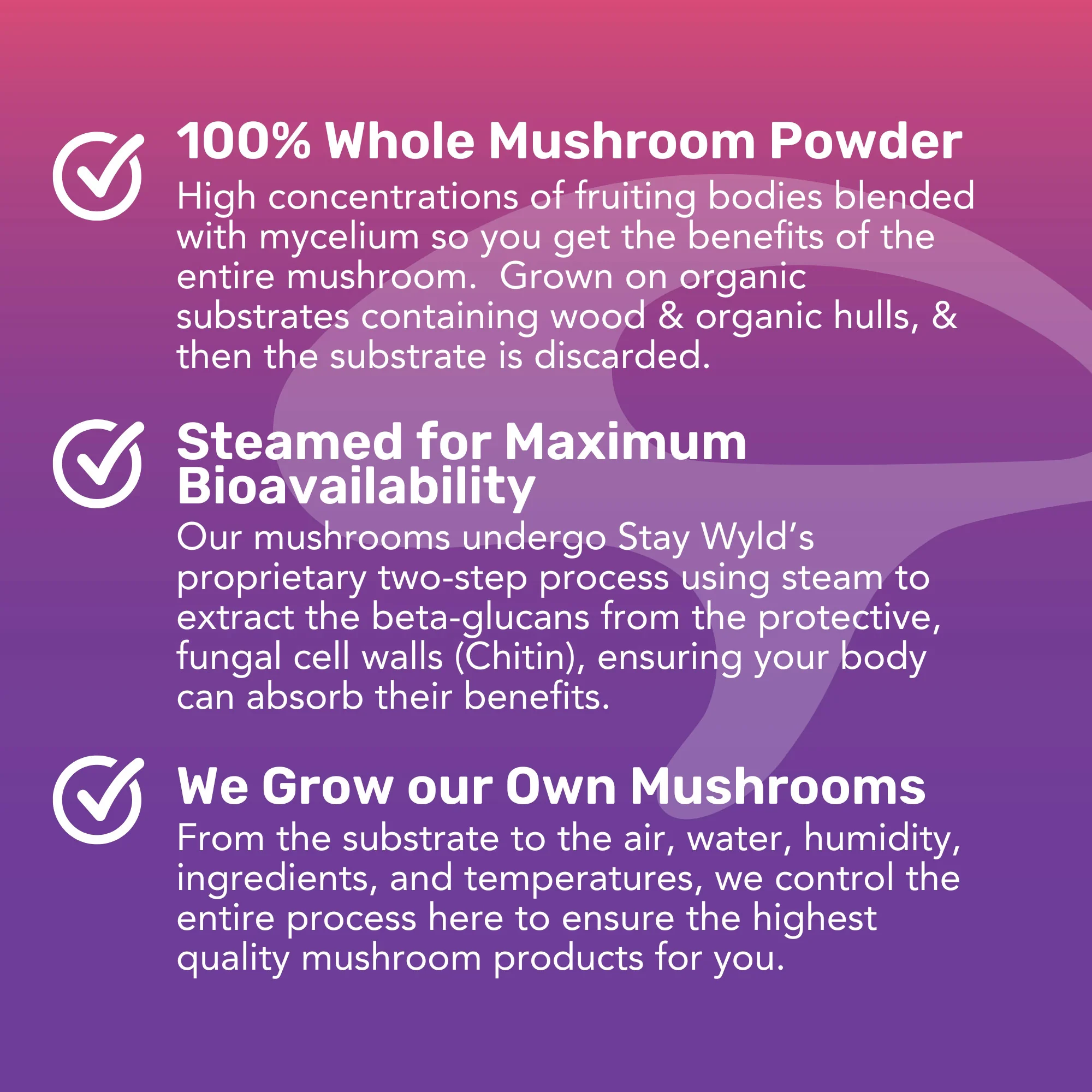 Focused Energy Gummies | 20 pack - Image 8