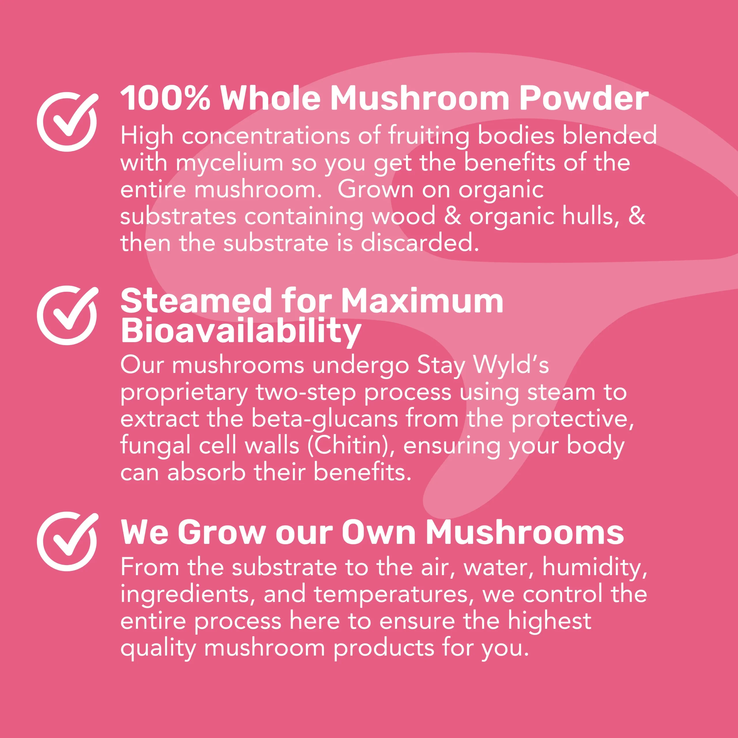 Lion's Mane Mushroom Powder Bulk (1kg) - Image 5