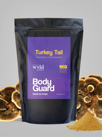Turkey Tail Mushroom Powder Bulk (1kg)